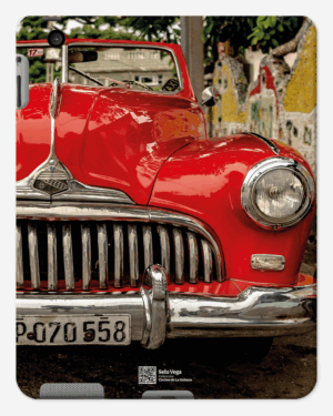 Funda de iPad 2/3/4 "BocaBallena"