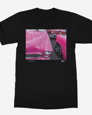Camiseta Unisex de color Negro "Pink Flamingo"