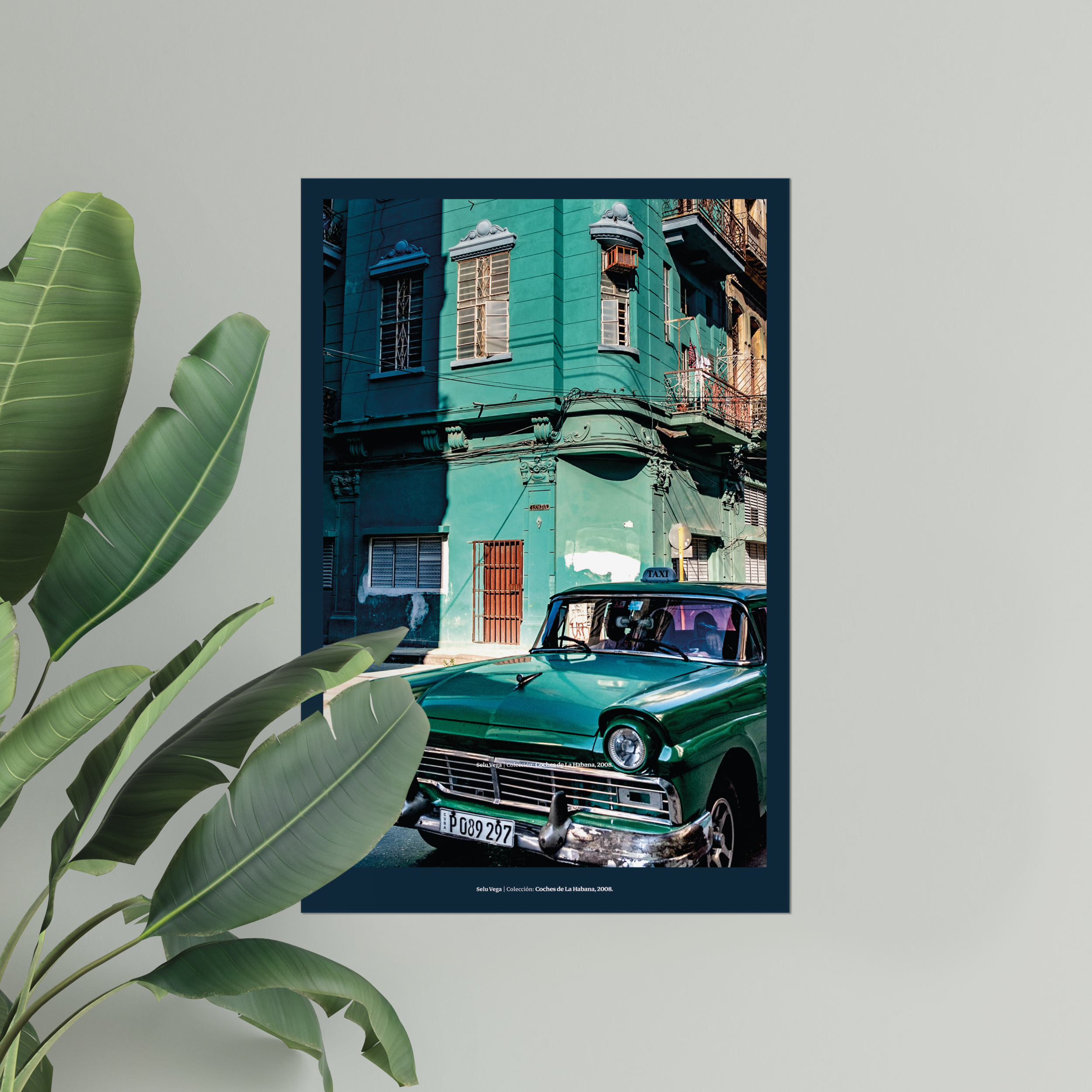 Póster 60x90 cm "Fairlane" - Imagen 7