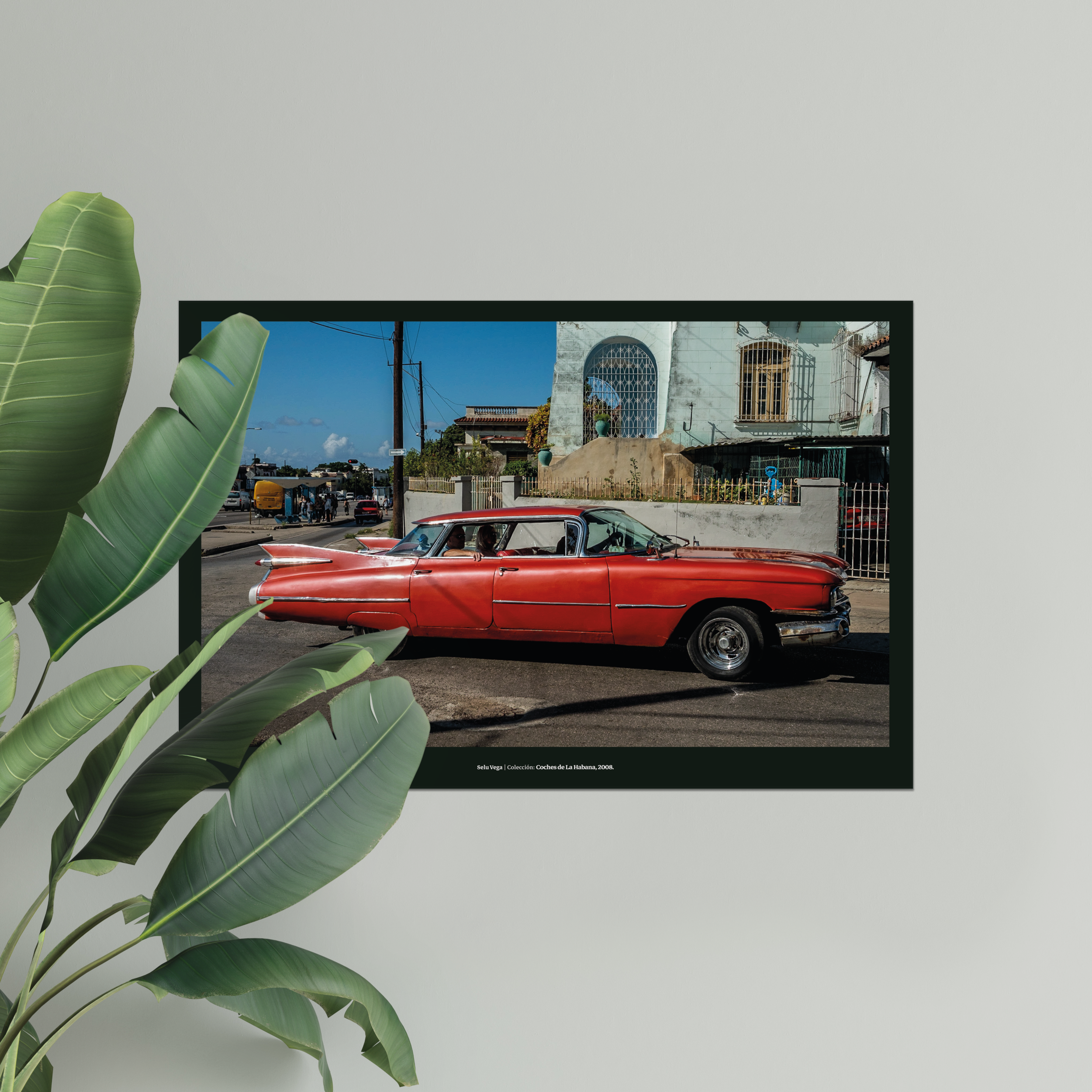 Póster 90x60 cm "Caddy 59" - Imagen 7
